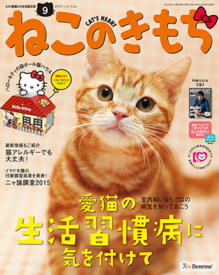 img_cat_cover